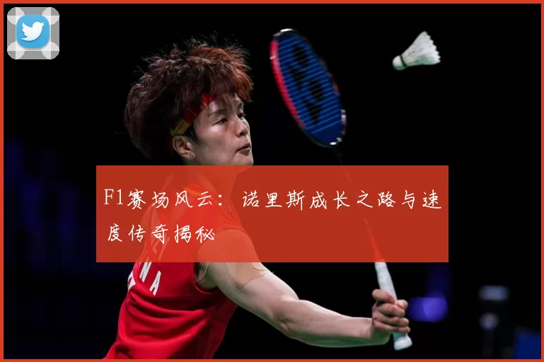 F1赛场风云：诺里斯成长之路与速度传奇揭秘