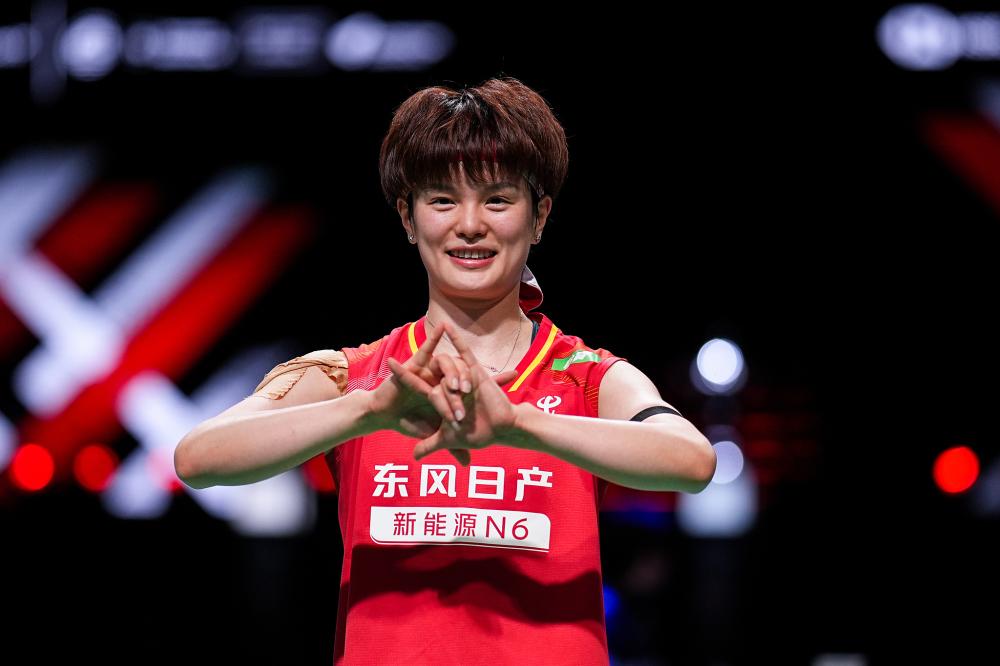 格斗传奇尼克迪亚兹生涯回顾与技术风格全面解析